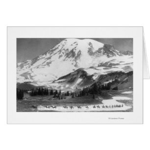 Der Mount Rainier, WA ÜberfahrtMazama Ridge auf