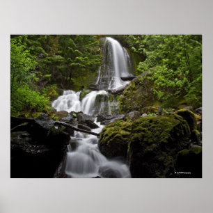 Der Mount- Rainierwasserfall Poster