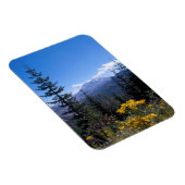 Der Mount Saint Helens Magnet (Rechte Seite)