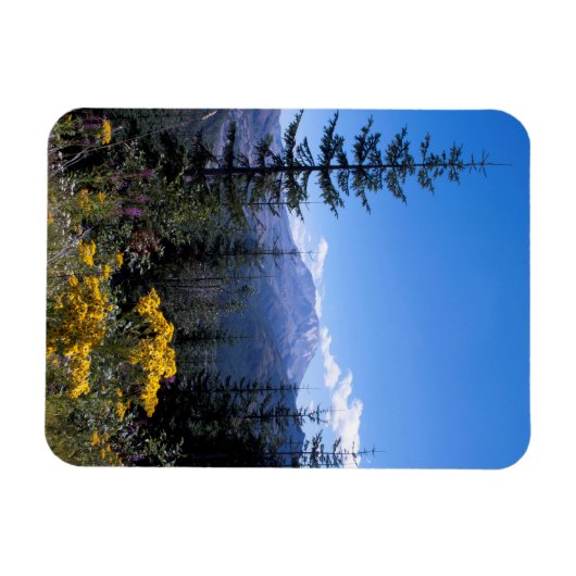 Der Mount Saint Helens Magnet (Horizontal)