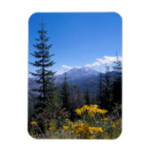 Der Mount Saint Helens Magnet (Vertikal)