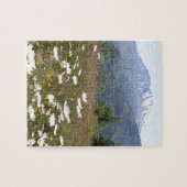 Der Mount Saint Helens Puzzle (Horizontal)