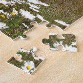 Der Mount Saint Helens Puzzle (Seite)