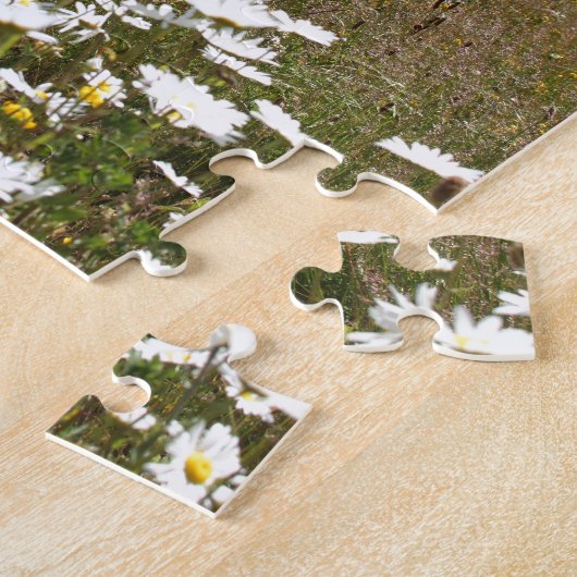 Der Mount Saint Helens Puzzle (Seite)