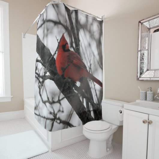 Der Mr. Duwer Vorhang (Beispiel)