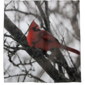 Der Mr. Duwer Vorhang (Vorderseite)