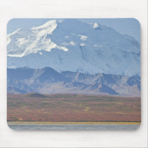Der Mt. McKinley ragt hinter einem Camper und sein Mousepad