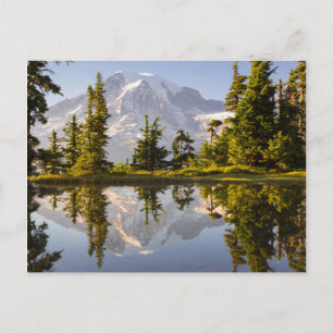 Der Mt. Rainier spiegelt sich in einem Bergsee nah Postkarte