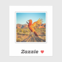 Der mythische Phönix, Arizona