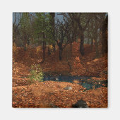 Der Nachmittag des Jahres Magnet (Vorne)