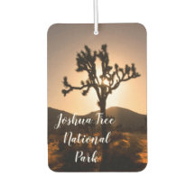 Der Nachtfall beginnt bei Joshua Tree