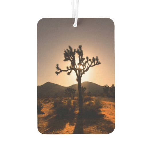 Der Nachtfall beginnt bei Joshua Tree Autolufterfrischer (Rückseite)