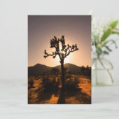 Der Nachtfall beginnt bei Joshua Tree Karte (Stehend Vorderseite)