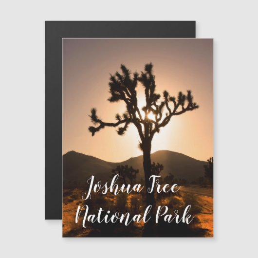 Der Nachtfall beginnt bei Joshua Tree Magnet (Vorne/Hinten)
