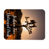 Der Nachtfall beginnt bei Joshua Tree Magnet (Horizontal)