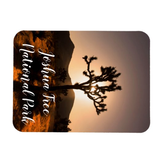 Der Nachtfall beginnt bei Joshua Tree Magnet (Horizontal)