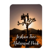 Der Nachtfall beginnt bei Joshua Tree Magnet (Vertikal)