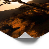 Der Nachtfall beginnt bei Joshua Tree Poster (Ecke)