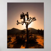 Der Nachtfall beginnt bei Joshua Tree Poster (Vorne)