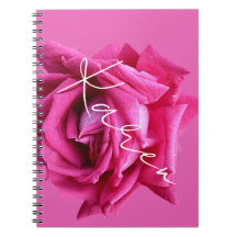Der Name Karen Hot Pink Rose Blumen