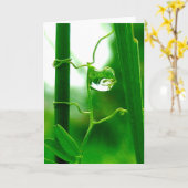 Der Narr, Tarot in der Natur, neue Anfänge Karte (Gelbe Blume)