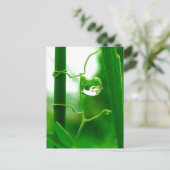 Der Narr, Tarot in Naturmeditation Postkarte (Stehend Vorderseite)