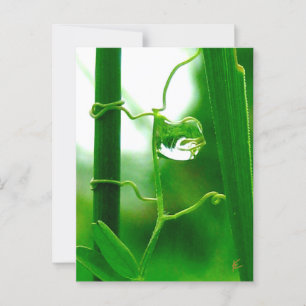 Der Narr, Tarot in Naturmeditation Postkarte