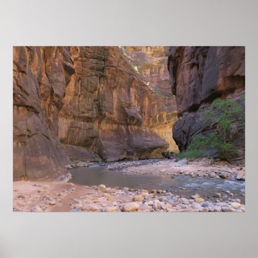 Der Nationalpark Narrows Zion Poster (Vorne)