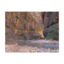 Der Nationalpark Narrows Zion