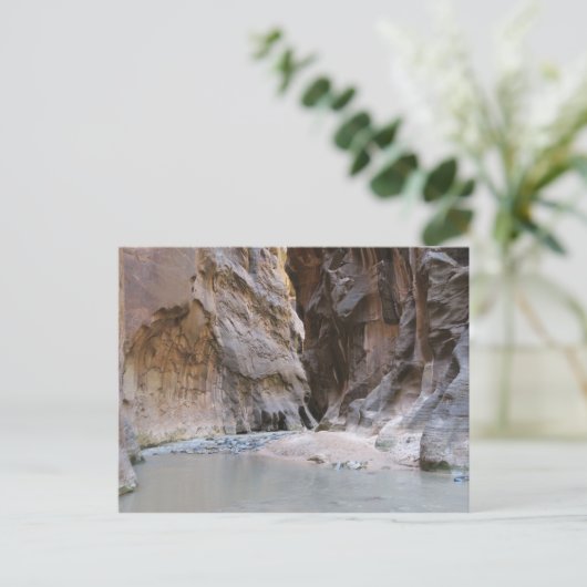 Der Nationalpark Narrows Zion Postkarte (Stehend Vorderseite)