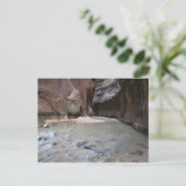 Der Nationalpark Narrows Zion Postkarte (Stehend Vorderseite)