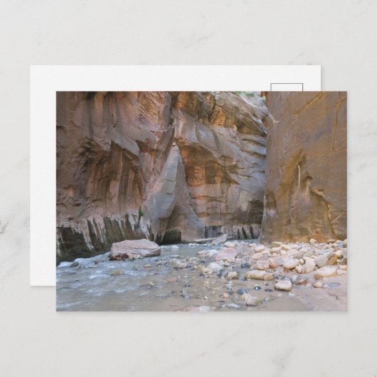 Der Nationalpark Narrows Zion Postkarte (Vorne/Hinten)
