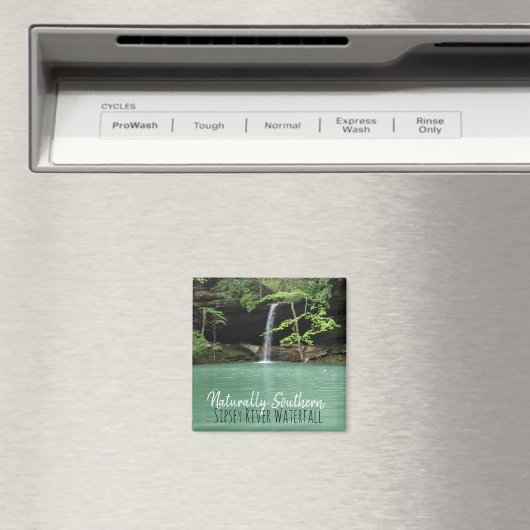 Der natürliche Wasserfall Süd Sipsey Magnet (In Situ (Geschirrspüler))