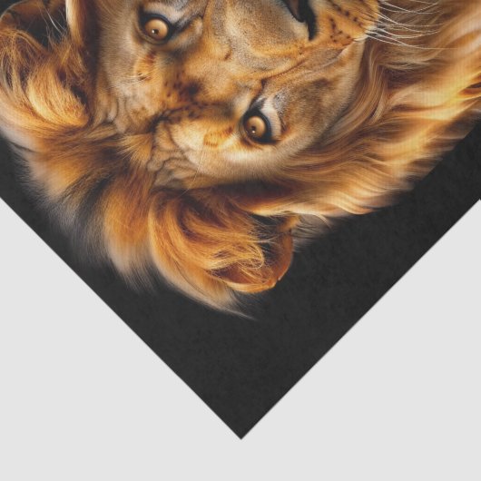 Der neue König des Dschungels1 Seidenpapier (Ausschnitt)