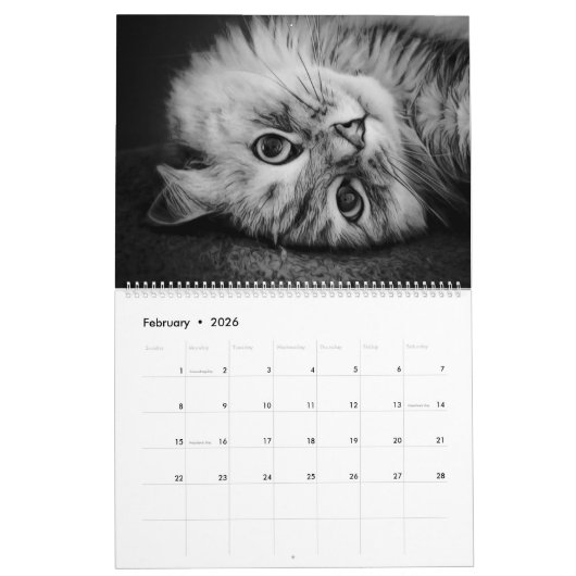 Der neue sibirische Katzen-Kalender 2017 Kalender (Feb 2026)