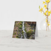 Der neue Wasserfall vom Frühling.... Karte (Gelbe Blume)