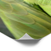 Der neugierige Papagei Poster (Ecke)