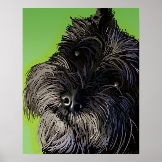 Der neugierige Schnauzer Poster (Vorne)