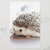 Der niedliche Baby-Igel Briefpapier (Vorderseite)