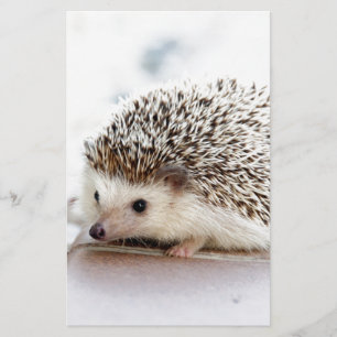 Der niedliche Baby-Igel Briefpapier