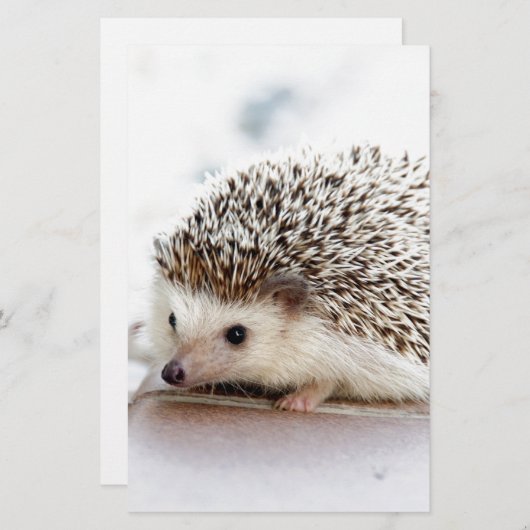 Der niedliche Baby-Igel Briefpapier (Vorne/Hinten)