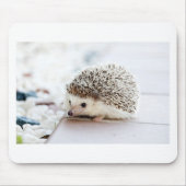 Der niedliche Baby-Igel Mousepad (Vorne)