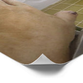 Der Niedliche Hund im Bad Poster (Ecke)