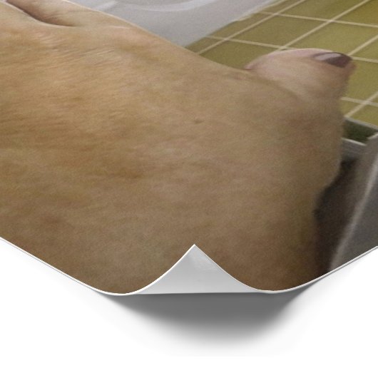 Der Niedliche Hund im Bad Poster (Ecke)