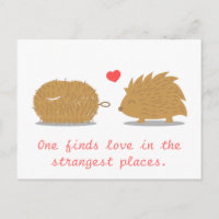 Der niedliche Igel findet seine Liebe in einer Sch