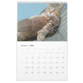 Der Niedliche Katzenkalender des Rupie Shops Kalender (Jan 2026)