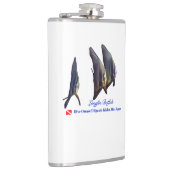 Der Niedliche Longfin Batfish Flachmann (Rechts)