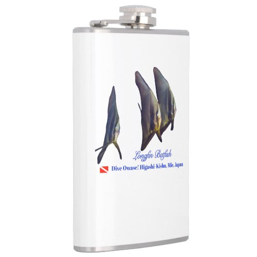 Der Niedliche Longfin Batfish Flachmann (Rechts)