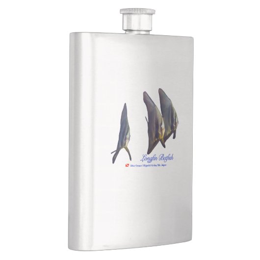 Der Niedliche Longfin Batfish Flachmann (Rechts)