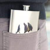 Der Niedliche Longfin Batfish Flachmann (Beispiel)